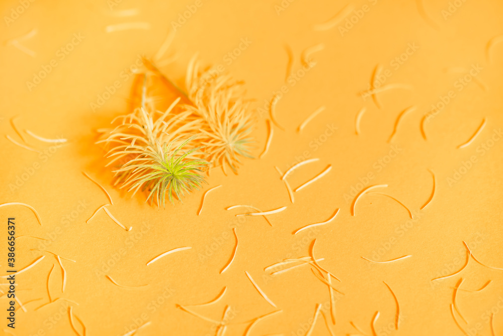 Fototapeta premium Flat lay of nature pattern colorful autumn leaves on yellow background. Seasonal concept