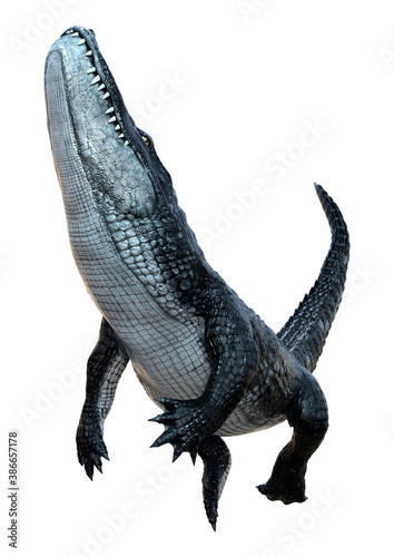 3D Rendering Black Alligator on White