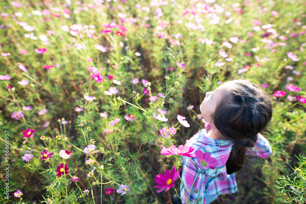 花畑に立つ少女 花畑に立つ少女