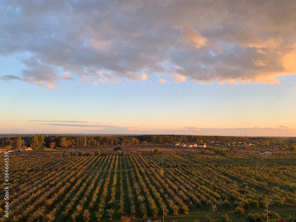 View through window onto rural landscape and sunset. Valley vineyards in autumn colors, sunset sky. Autumn concept. Copy space.
