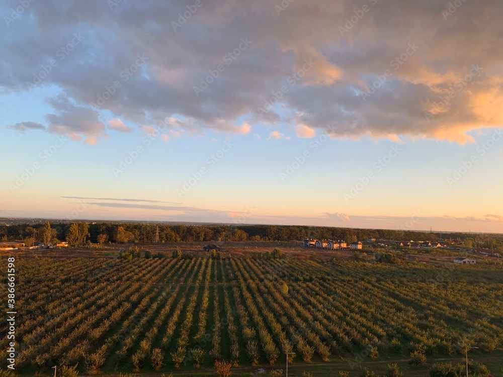 Obraz premium View through window onto rural landscape and sunset. Valley vineyards in autumn colors, sunset sky. Autumn concept. Copy space.
