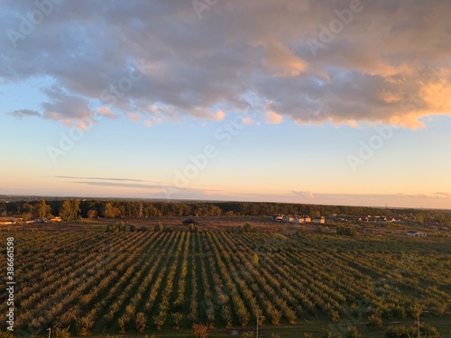 View through window onto rural landscape and sunset. Valley vineyards in autumn colors, sunset sky. Autumn concept. Copy space.