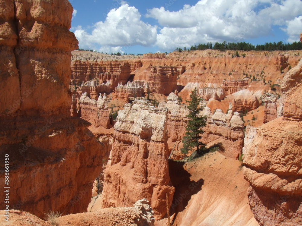 Stunning Bryce Canyon, Utah, USA. Spectacular bright orange rock formations, created by natural erosion. Stunning Bryce Canyon, Utah, USA. Spectacular bright orange rock formations, created by natural erosion.