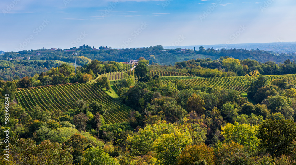 Prosecco Superiore vineyards panorama, Valdobbiadene, Veneto, Northern Italy, Europe