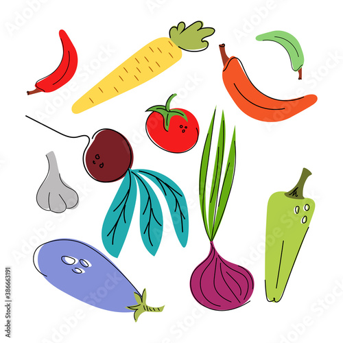 Hand-drawn vector illustration of vegetables. Food. Carrots, sweet bell peppers, hot green and red peppers, tomato, garlic, beets, onions, eggplant. 