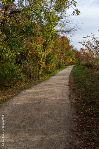 walking trail in autumn forest