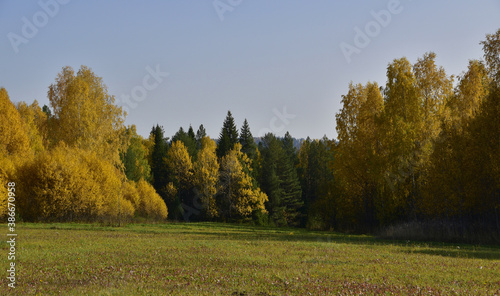 A cultivated agricultural field enclosed by a wall of bright autumn forest, illuminated by the midday sun. In the foothills of the Western Urals, golden autumn.