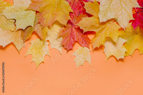 Autumn maple leaves on an orange background. mock up top view, autumn composition with copy space. Holiday card template