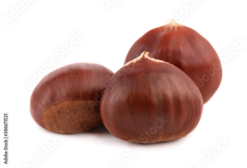 Fresh chestnuts isolated on white background. Hippocastanum or horse chestnuts.