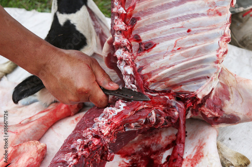 a butcher cuts an animal carcass into meat for eating with a knife