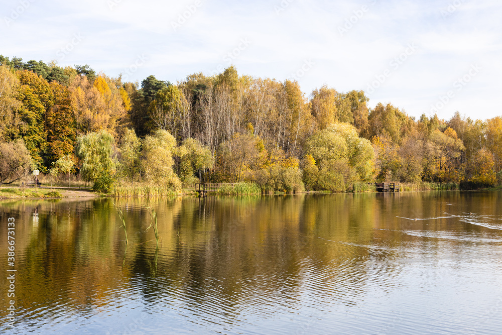 view of pond with yellow trees on shore in city park in autumn morning
