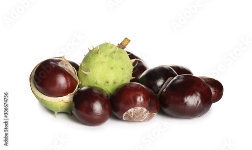 Pile of horse chestnuts isolated on white