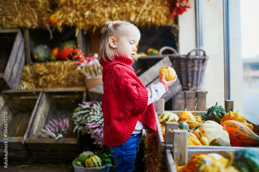 Adorable toddler girl in red poncho selecting colorful pumpkins in supermarket, grocery store or on farm