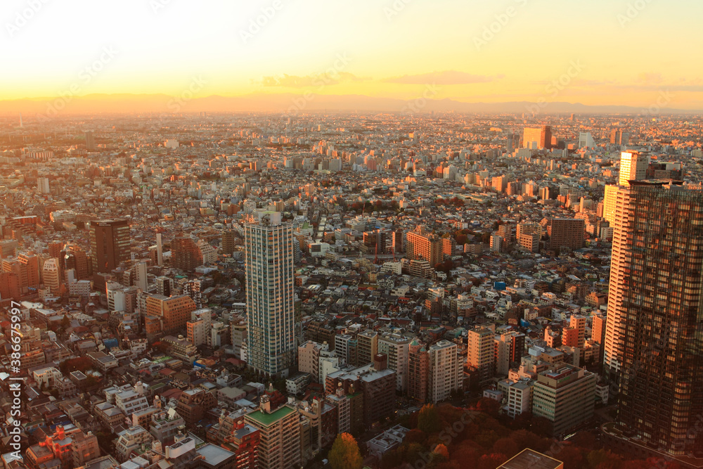 Naklejka premium 西新宿町並み夕景