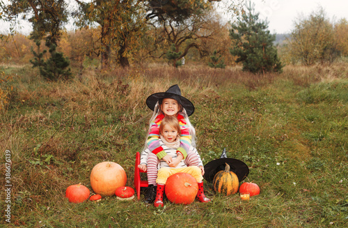 two little sisters are sitting in the middle of a field and hugging each other around a lot of big and small pumpkins.the theme of the Halloween. © Tatsiana