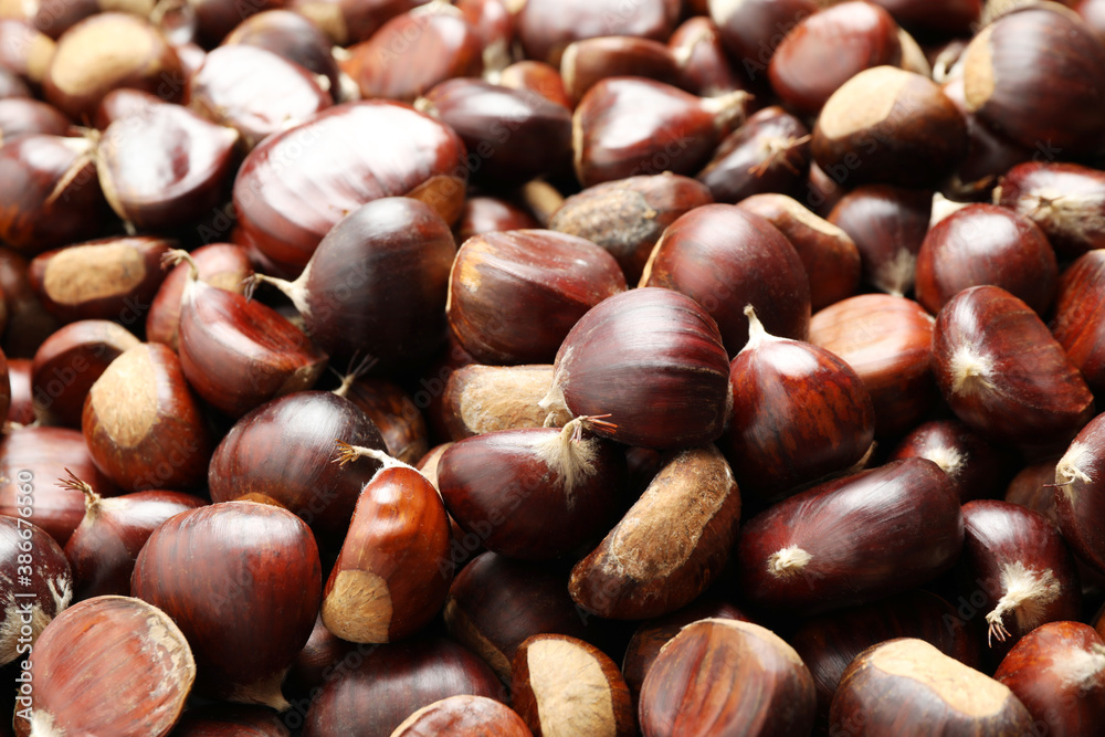 Fresh edible sweet chestnuts as background, closeup Fresh edible sweet chestnuts as background, closeup