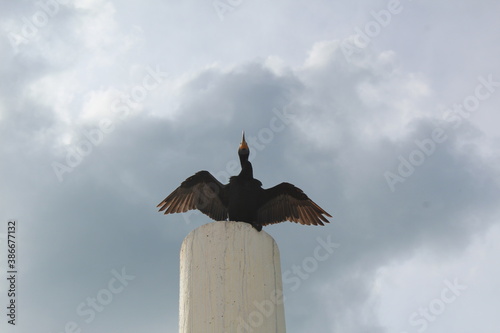 comienzo del vuelo 
