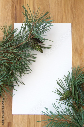 Christmas background, white paper with conifer cone branches