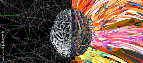 Cerebral hemispheres of brain function concept illustration