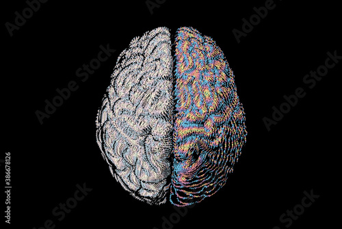 Cerebral hemispheres of brain function concept illustration