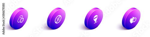 Set Isometric Genetically modified meat, Stop GMO, and apple icon. Vector.