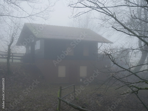 Haus mit Baeumen in dickem Nebel
