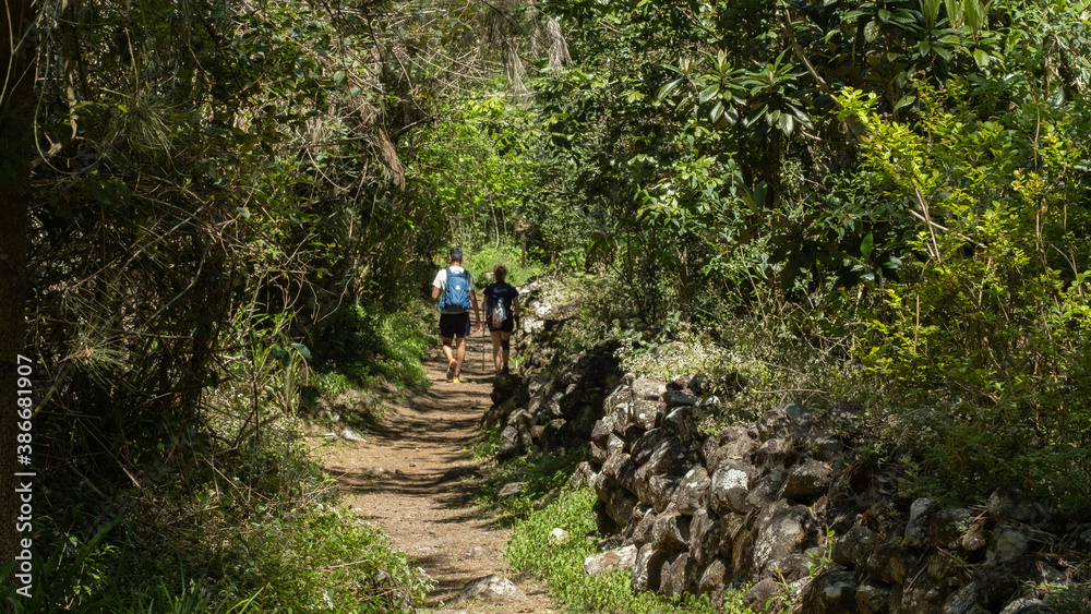 Couple trekking in the jungle