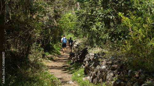Couple trekking in the jungle