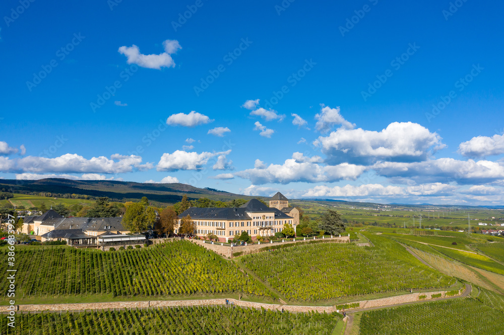 Bird's eye view of Johannisberg Castle near Geisenheim / Germany in the middle of vineyards
