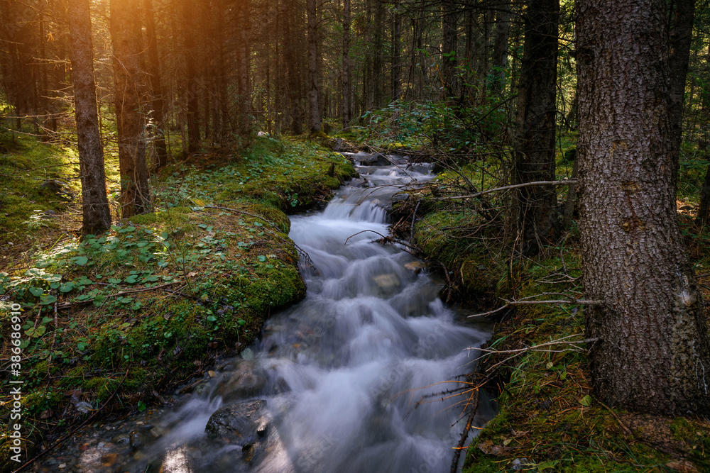 Small river in moist dense forest in the sun rays. Rapid stream of water between the banks, overgrown with green grass and moss. Cascade on taiga river, soft focus. Small river in moist dense forest in the sun rays. Rapid stream of water between the banks, overgrown with green grass and moss. Cascade on taiga river, soft focus.