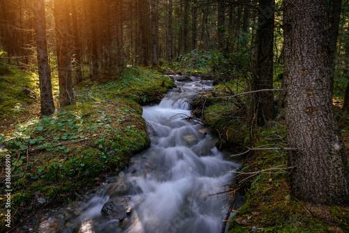Small river in moist dense forest in the sun rays. Rapid stream of water between the banks, overgrown with green grass and moss. Cascade on taiga river, soft focus.