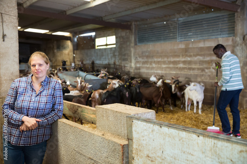 Portrait of confident woman professional goat breeder in stall on goat farm