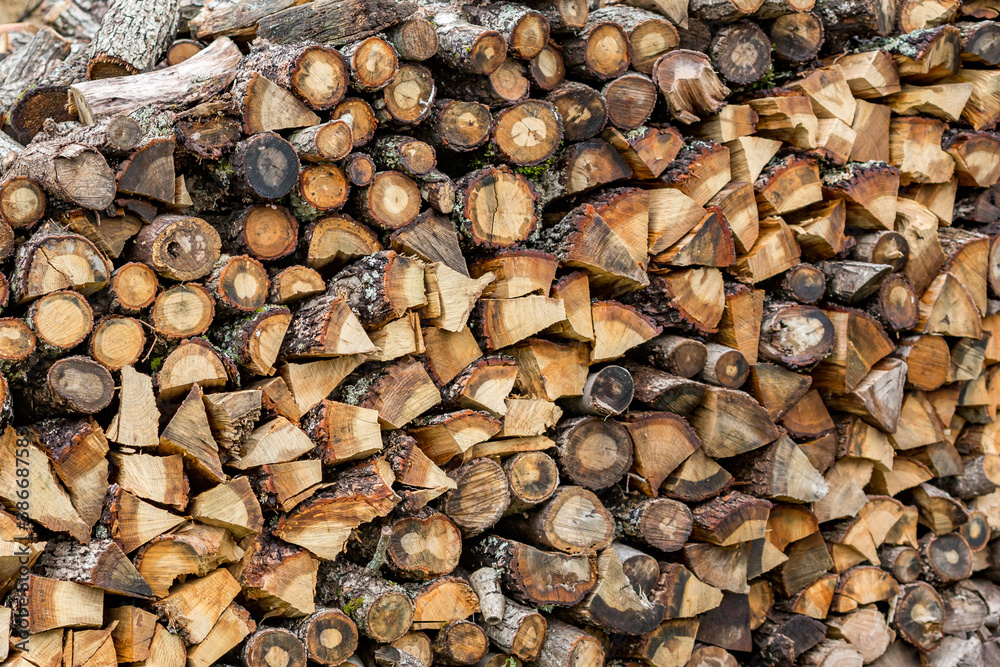 Firewood stacked in nice rows prepared for the winter, shallow selective focus. Travel photograph, rural landscape, Strandzha mountain, Bulgaria Firewood stacked in nice rows prepared for the winter, shallow selective focus. Travel photograph, rural landscape, Strandzha mountain, Bulgaria