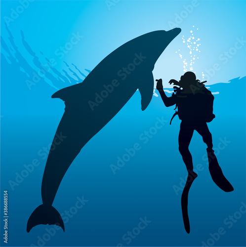 Plongée sous-marine - Rencontre d'un dauphin