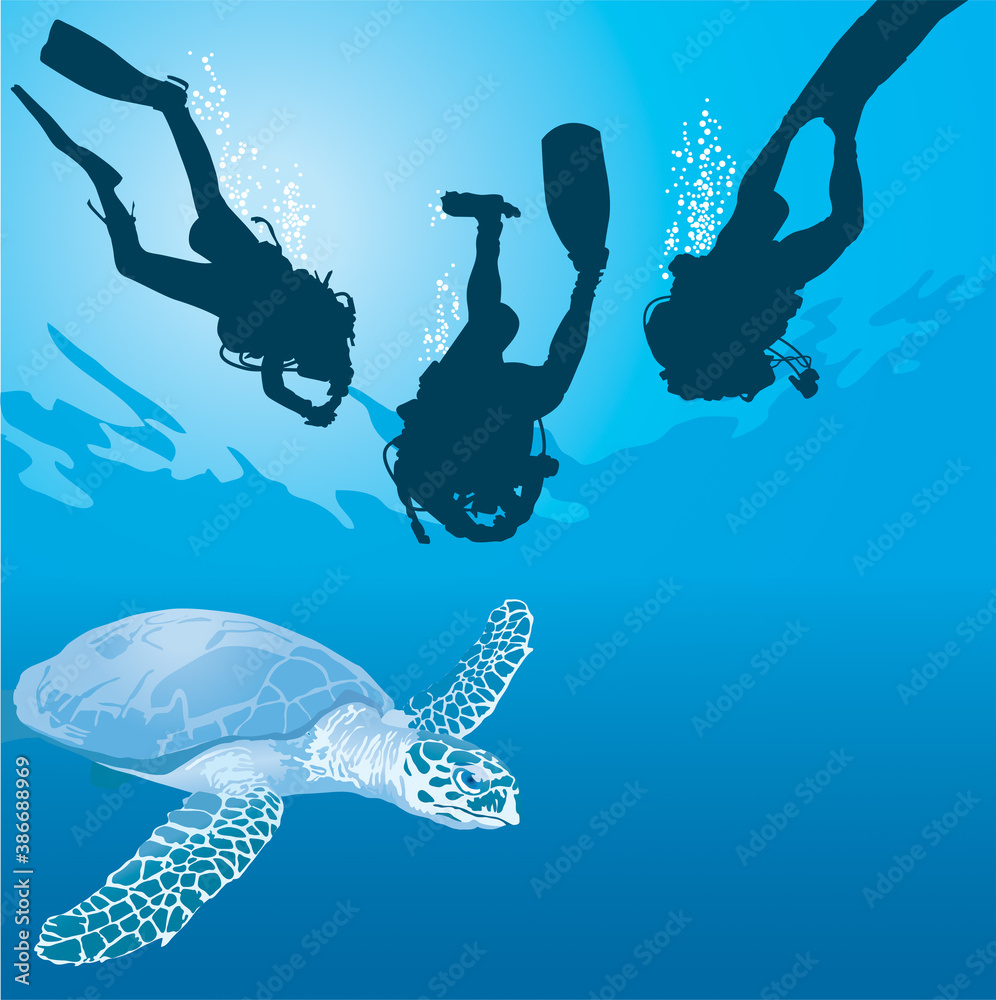 Plongée sous-marine - Rencontre d'une tortue