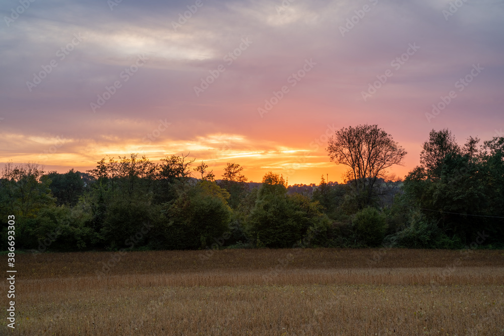 Sunset in the golden fields bordered by trees and shrubs, on a cloudy autumn evening