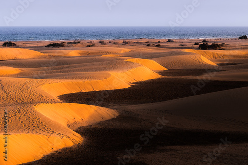 Golden Shores! - Maspalomas, Gran Canaria