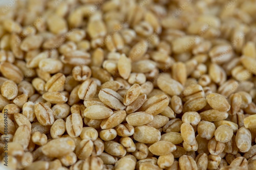 Wheat grain, and scattered on the table, close-up. Wheat grain, and scattered on the table, close-up.