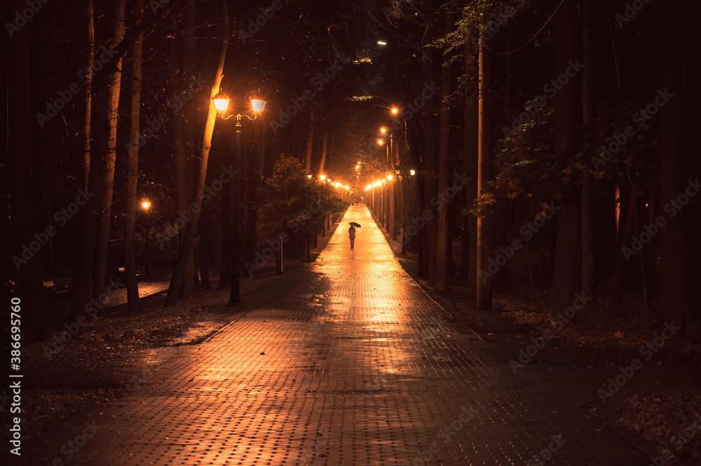 A girl with an umbrella walks along the boulevard in the park at night