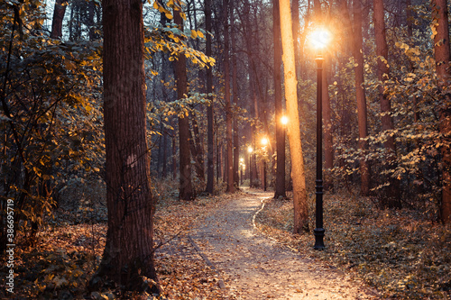 Rain and fog in autumn зark