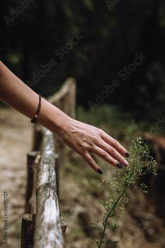mano de una mujer en contacto con la naturaleza.  © javier