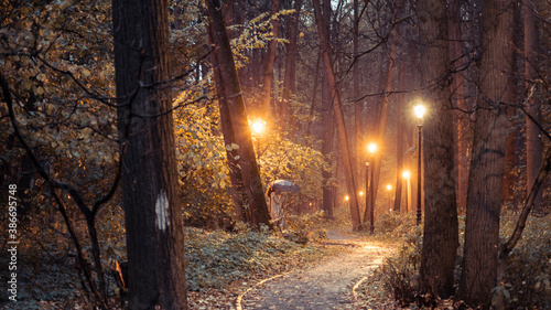 girl with an umbrella in the park in the autumn rainy weather