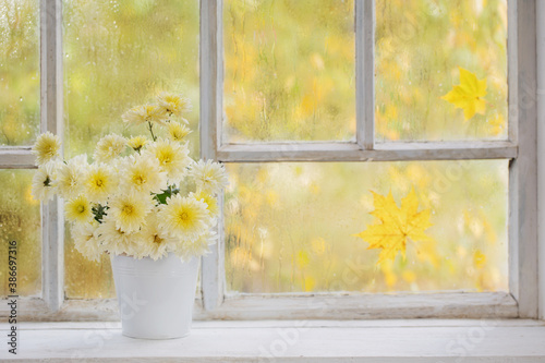 chrysanthemums in  vase on  windowsill in autumn