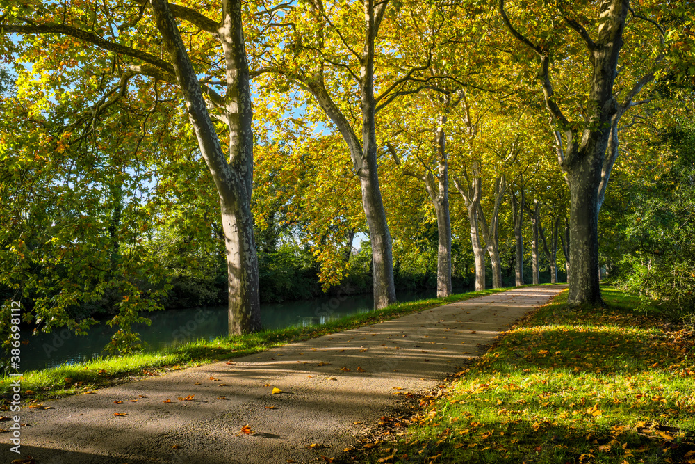 the Canal du Midi near Toulouse, in France