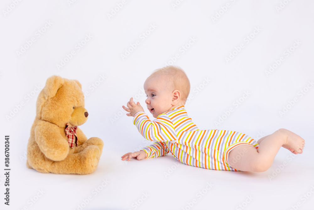 Teddy bear for 6 month old sales