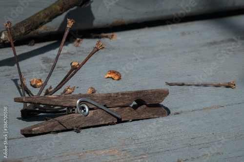 An old and well weathered wooden clothes pin sits among fallen tree seed pods on an worn grey wooden deck.