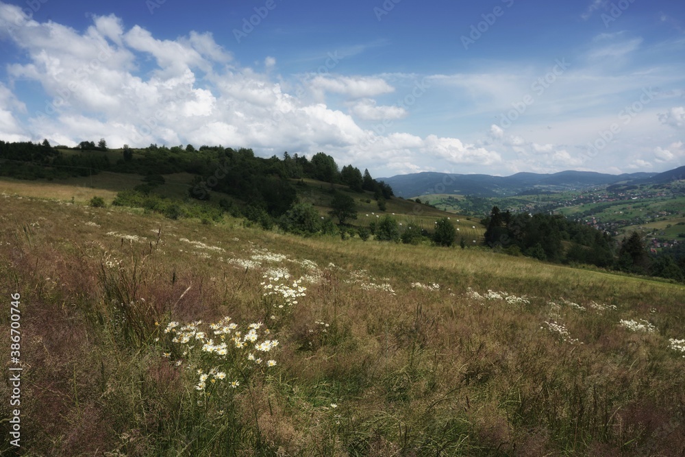 July in the Beskids, view from the mountain meadow