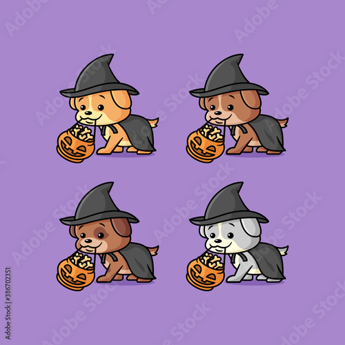 CUTE PUPPIES IN DIFFERENT COLOR WEARING WITCH COSTUME