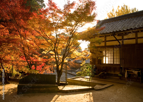Autumn fall foliage at a shrine in Japan