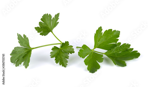 Fresh green leaves of parsley isolated on white background